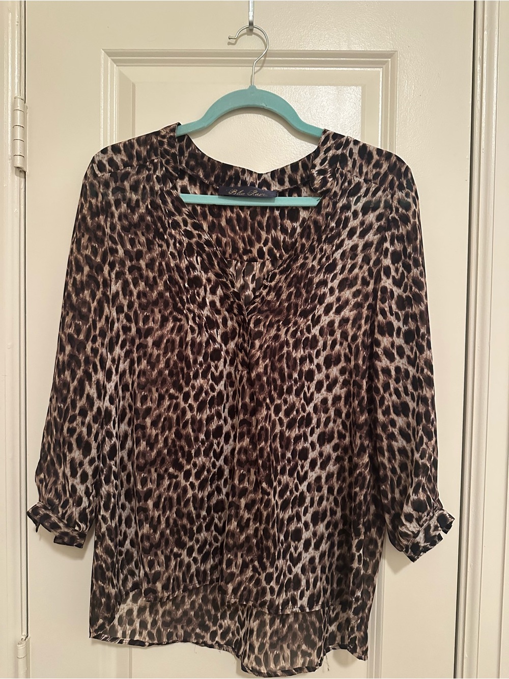 Francesca's Collections Brown Leopard Print V-Neck Blouse